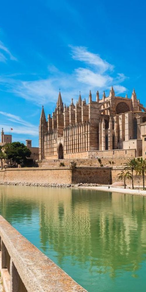 Bicycle and tram in Palma de Mallorca