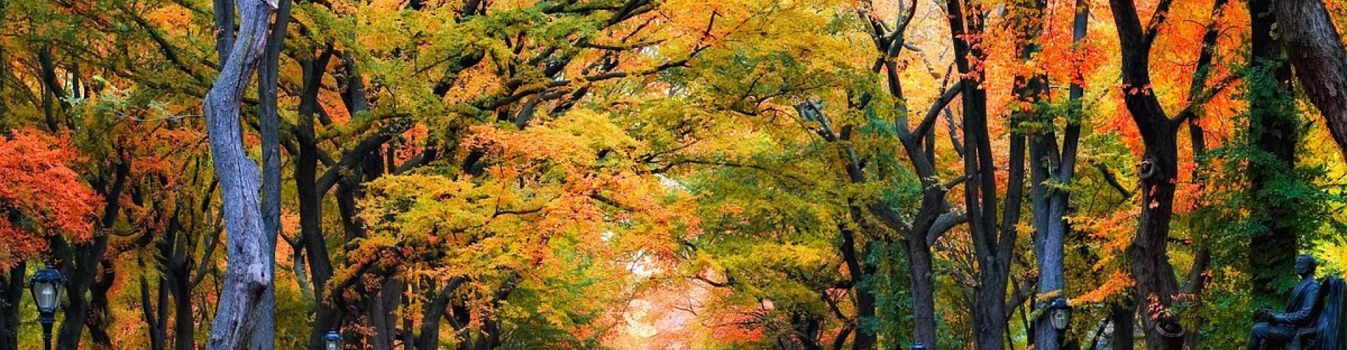 Evening riverside shot of New York, NY, US