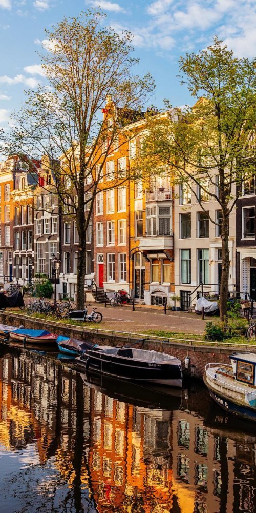 Bikes and trams in Amsterdam