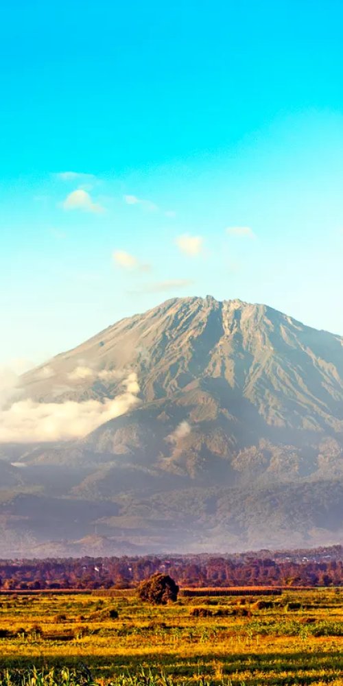 Street scene in Arusha, TZ