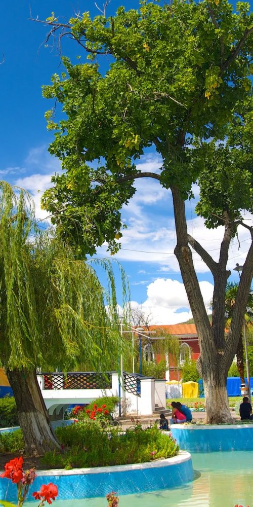 Street scene in Cochabamba, BO