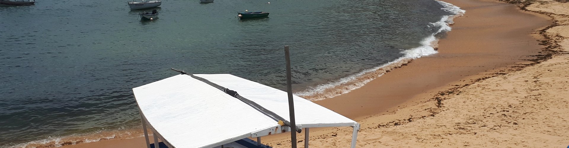 Evening riverside shot in Rio Vermelho, BR