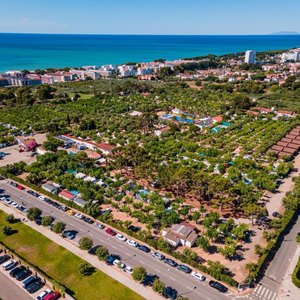 Unveiling Cambrils, ES: Your Ultimate Guide to the Best Attractions, Activities & Hidden Gems