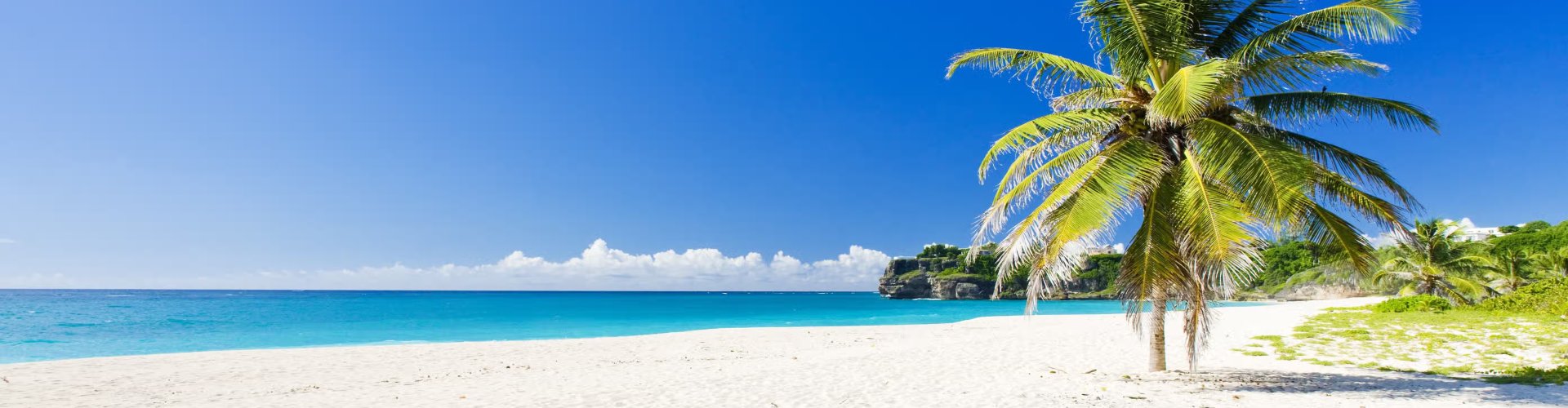Evening riverside shot in Barbados