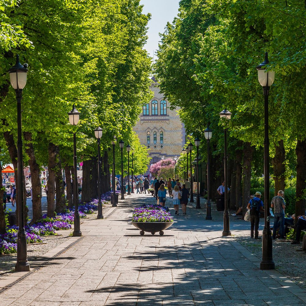 Ultimate Guide to the Best Things to Do in Oslo, NO: From Iconic Gems to Hidden Neighbourhood Secrets