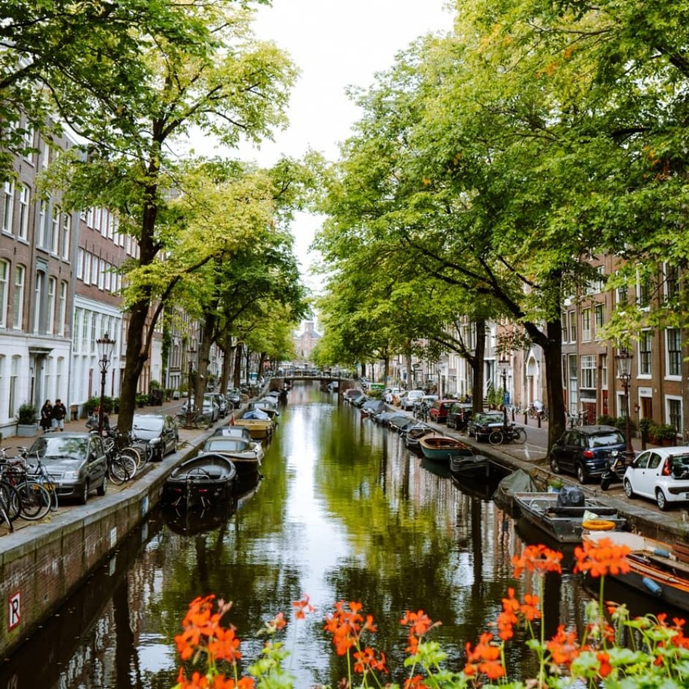 Unmissable Things to Do in Amsterdam, NL: From Iconic Sights to Hidden Gems