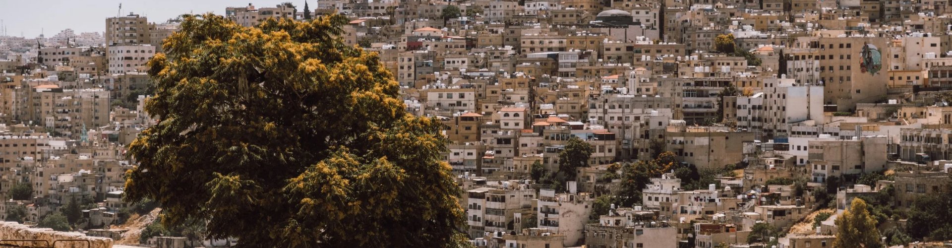 Skyline of Amman, JO