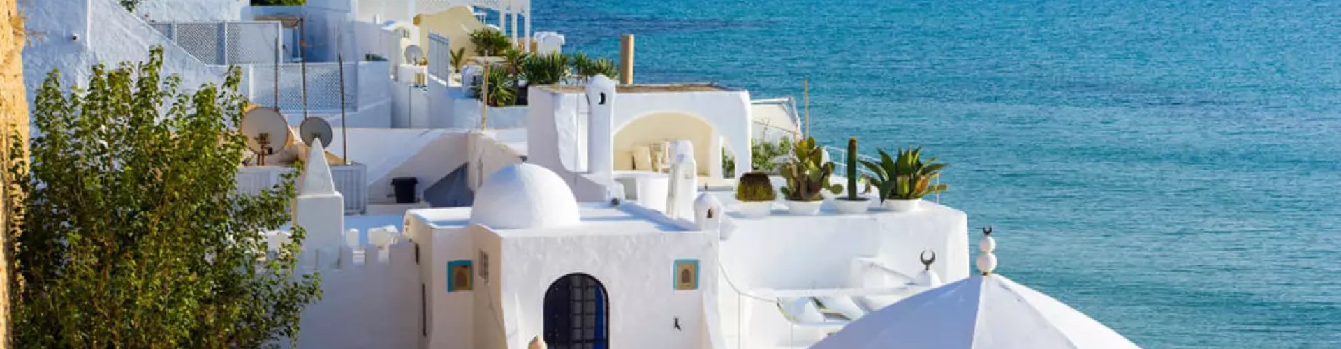 Skyline of Tunis, TN