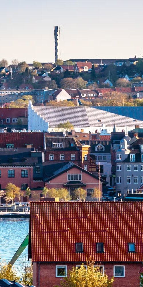 Bicycles and tram in Aalborg