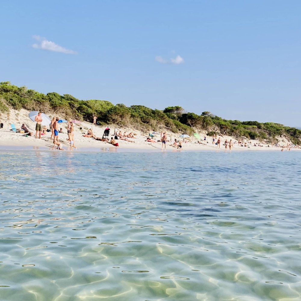 Discovering Alghero, IT: Your Ultimate Guide to the Best Things to Do and Hidden Gems