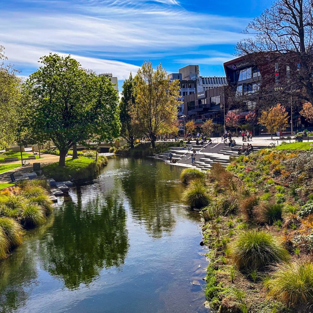 Ultimate Guide to the Best Things to Do in Christchurch, NZ: Icons, Activities & Hidden Gems