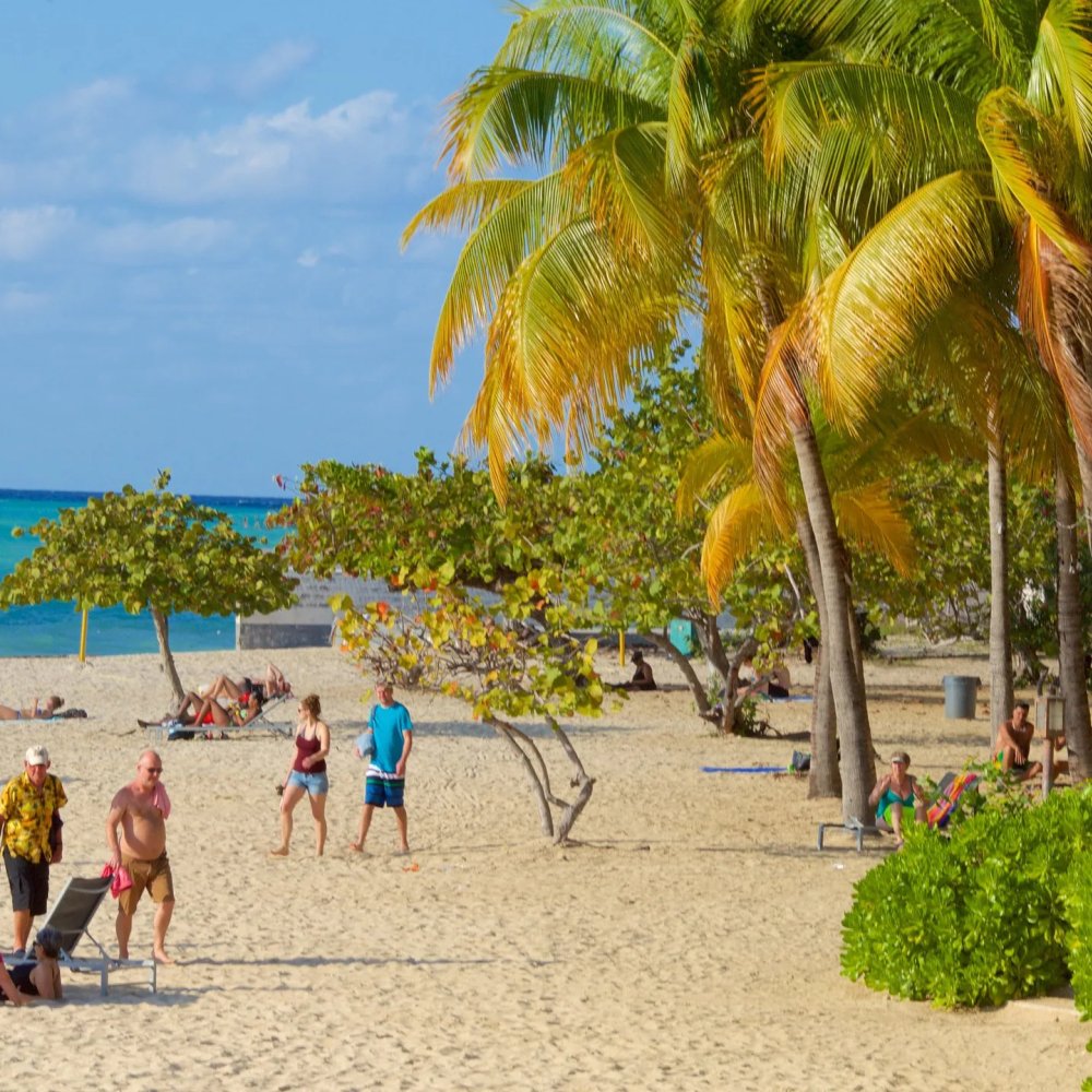 Unlocking Montego Bay, JM: The Ultimate Guide to the Best Attractions, Activities & Hidden Gems