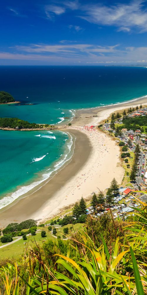 Street view in Tauranga