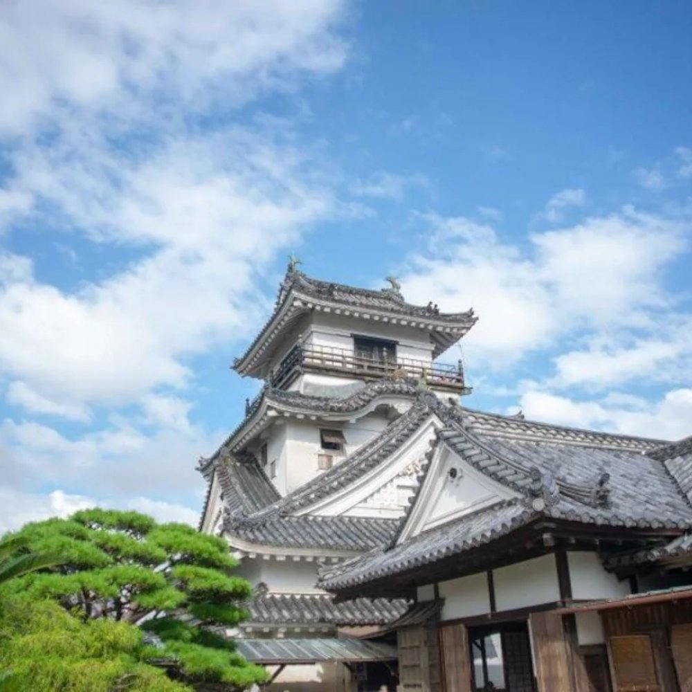 Unveiling Kochi, JP: Your Ultimate Guide to Things to Do, Hidden Gems & Top Attractions