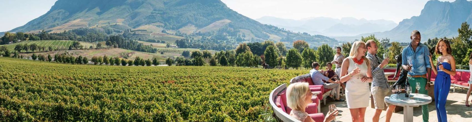 Skyline of Stellenbosch, ZA