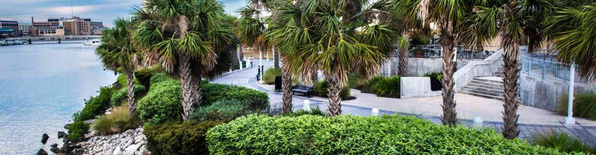 Skyline of Tampa, FL, US