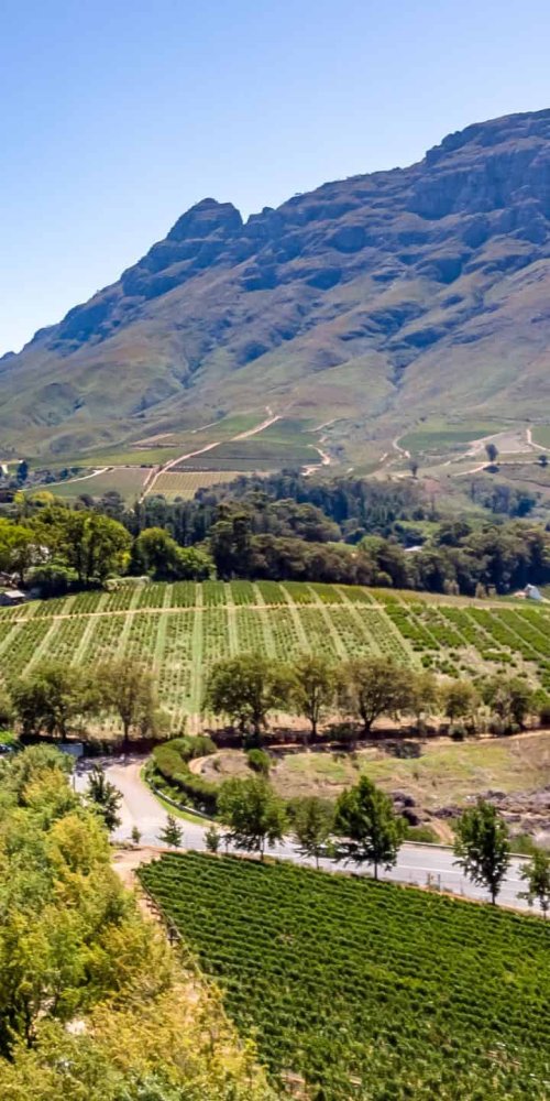 Bicycles and historic street in Stellenbosch
