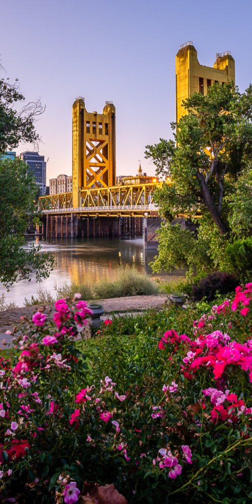 Biking along the American River Parkway