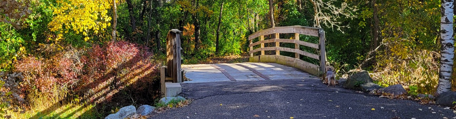 Evening riverside view of Ramsey, MN