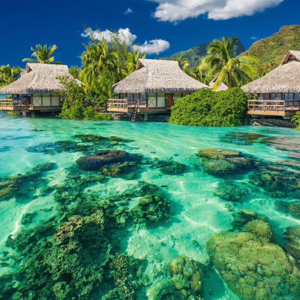 Uncover the Magic: Your Essential Guide to Things to Do in Nadi, FJ