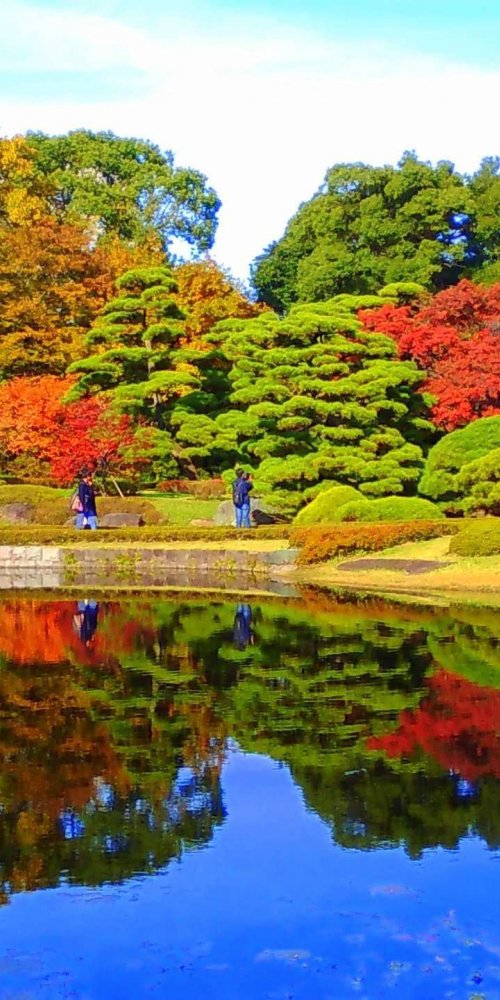 Tokyo Metro map and city transport