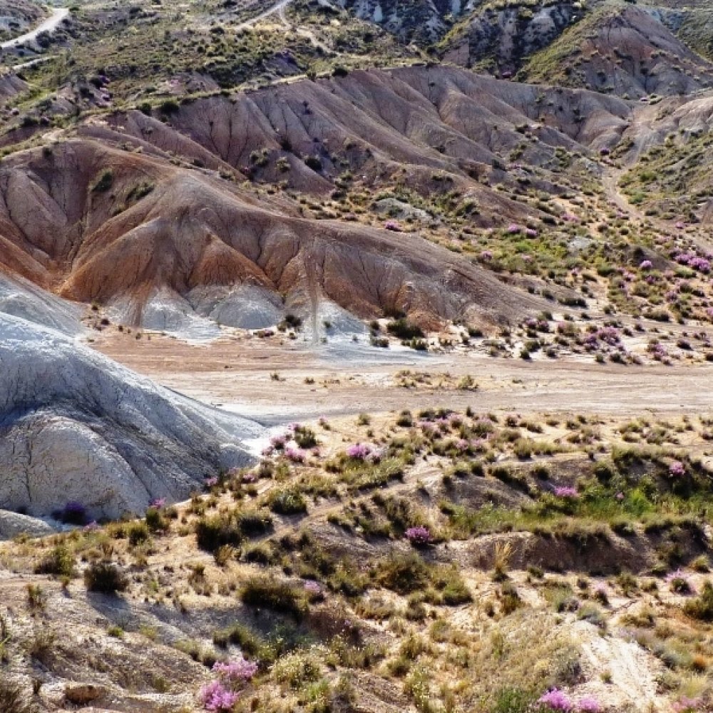 Unlocking the Charms: The Ultimate Guide to Things to Do in Molina de Segura, ES