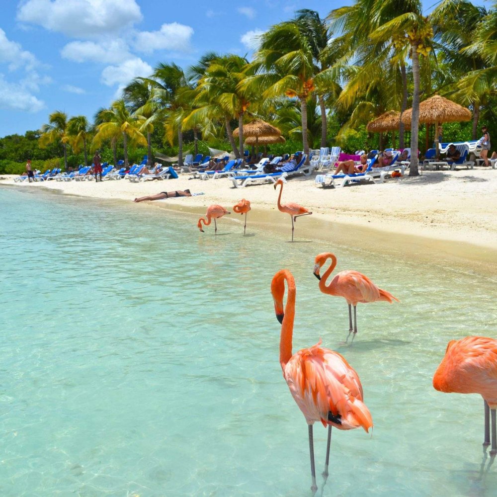 Ultimate Guide to the Best Things to Do in Aruba, AW: From Iconic Sights to Hidden Gems