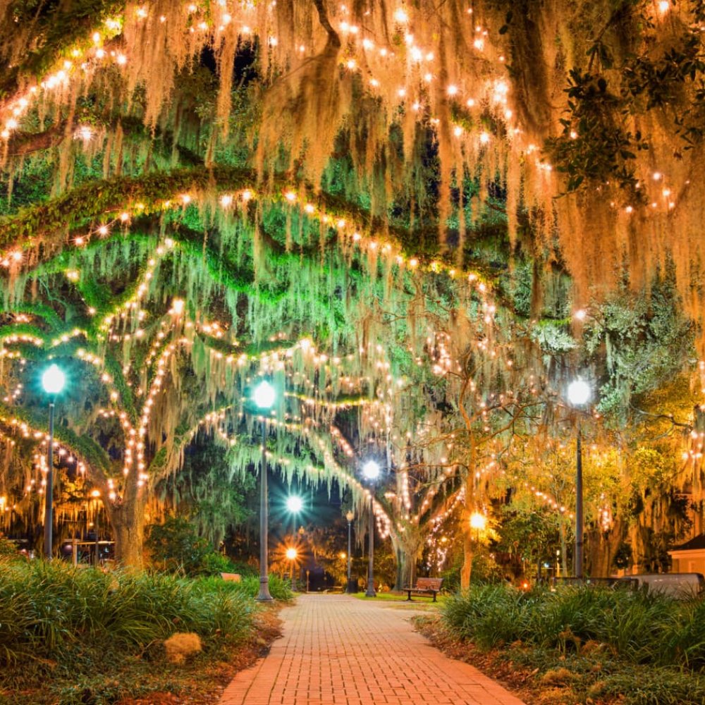 Uncover the Ultimate Things to Do in Tallahassee, FL, US: From Icons to Hidden Gems
