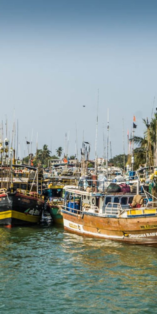 Street view of Negombo, WA, LK with pedestrians and cyclists
