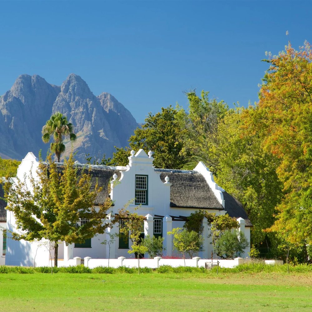 Unforgettable Things to Do in Stellenbosch, ZA: From Iconic Sights to Hidden Gems
