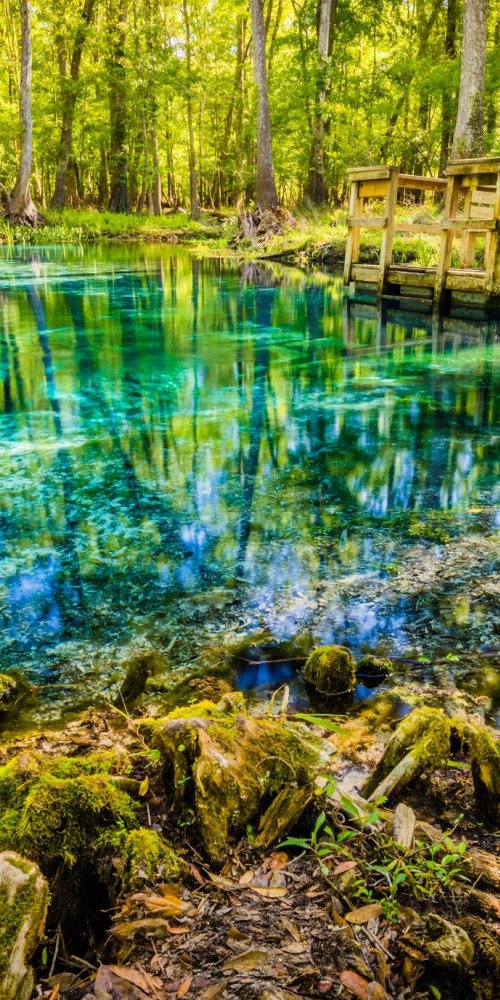 Street view in High Springs, FL