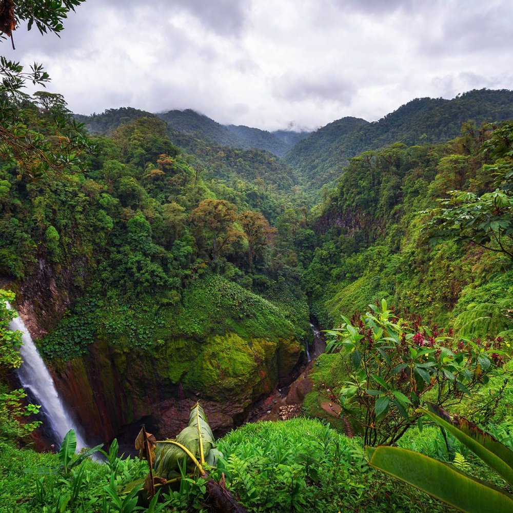 Exploring Alajuela, CR: Your Ultimate Guide to the Best Attractions, Activities & Hidden Gems